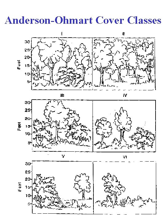 Anderson-Ohmart Cover Classes 