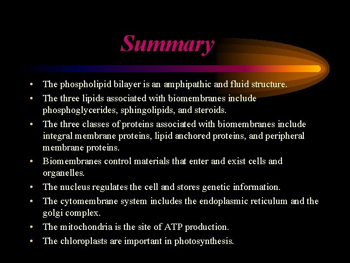 Summary • The phospholipid bilayer is an amphipathic and fluid structure. • The three