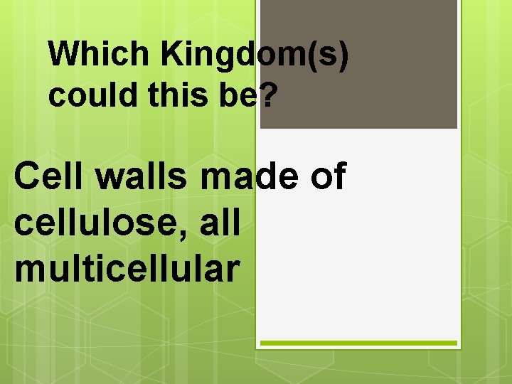 Which Kingdom(s) could this be? Cell walls made of cellulose, all multicellular 