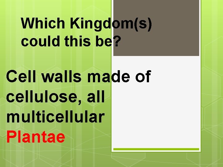 Which Kingdom(s) could this be? Cell walls made of cellulose, all multicellular Plantae 