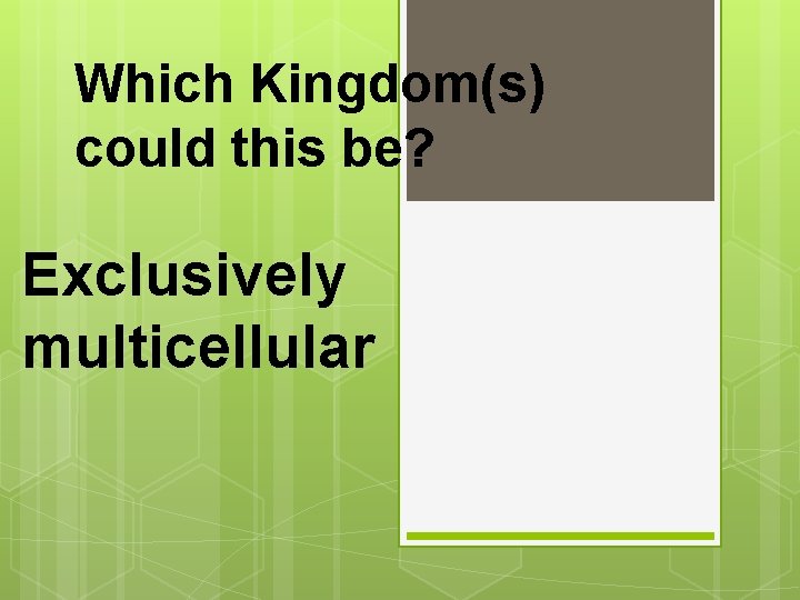 Which Kingdom(s) could this be? Exclusively multicellular 