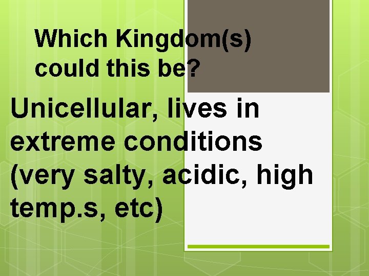 Which Kingdom(s) could this be? Unicellular, lives in extreme conditions (very salty, acidic, high