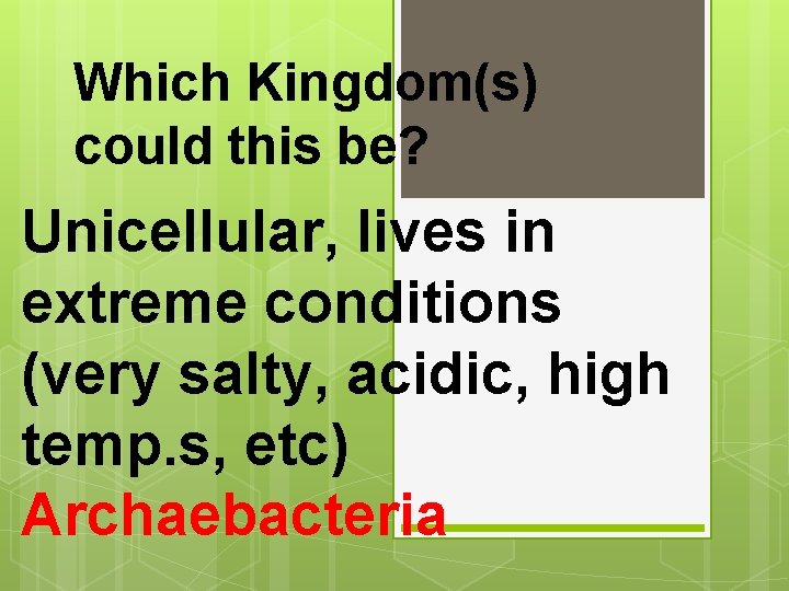 Which Kingdom(s) could this be? Unicellular, lives in extreme conditions (very salty, acidic, high