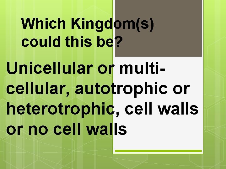 Which Kingdom(s) could this be? Unicellular or multicellular, autotrophic or heterotrophic, cell walls or