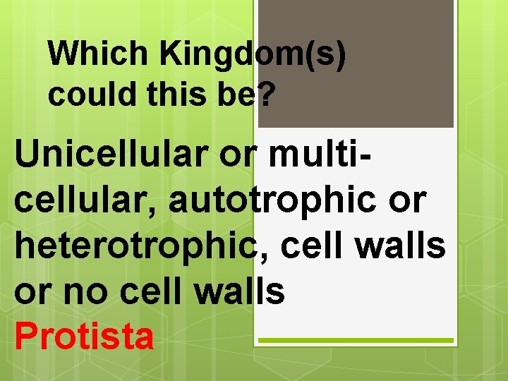 Which Kingdom(s) could this be? Unicellular or multicellular, autotrophic or heterotrophic, cell walls or