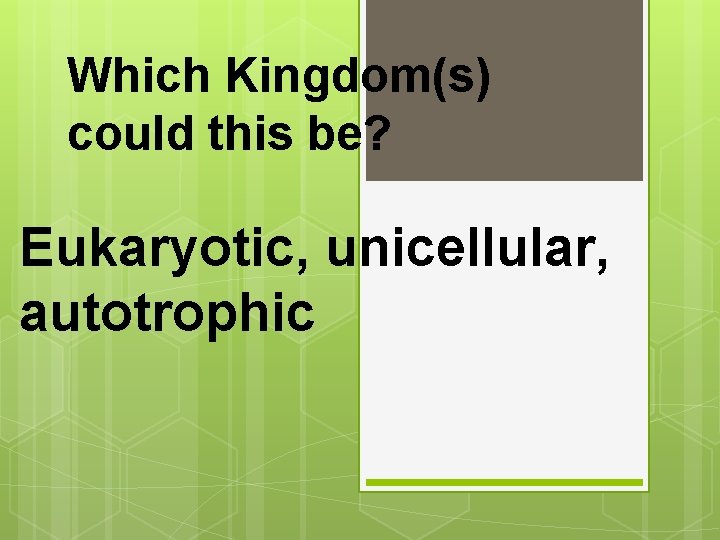 Which Kingdom(s) could this be? Eukaryotic, unicellular, autotrophic 