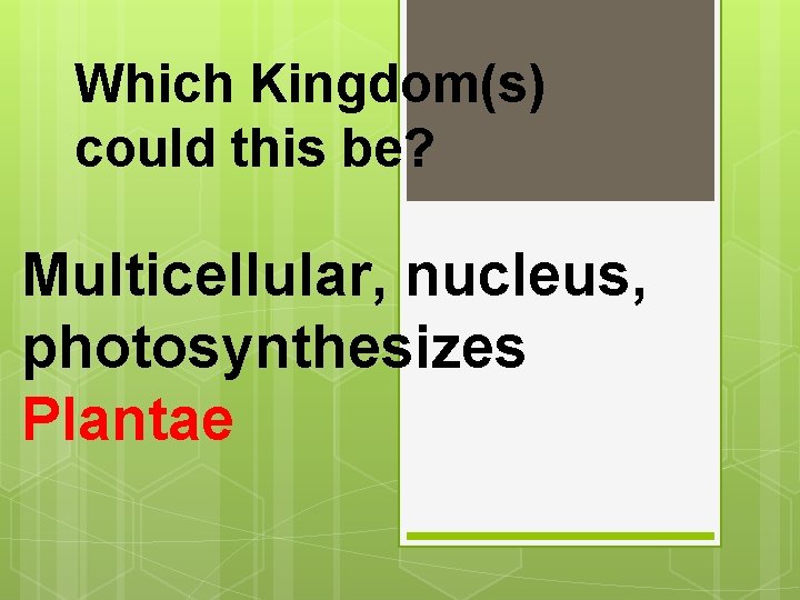 Which Kingdom(s) could this be? Multicellular, nucleus, photosynthesizes Plantae 