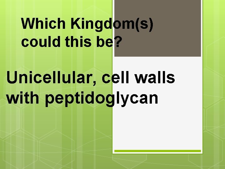 Which Kingdom(s) could this be? Unicellular, cell walls with peptidoglycan 
