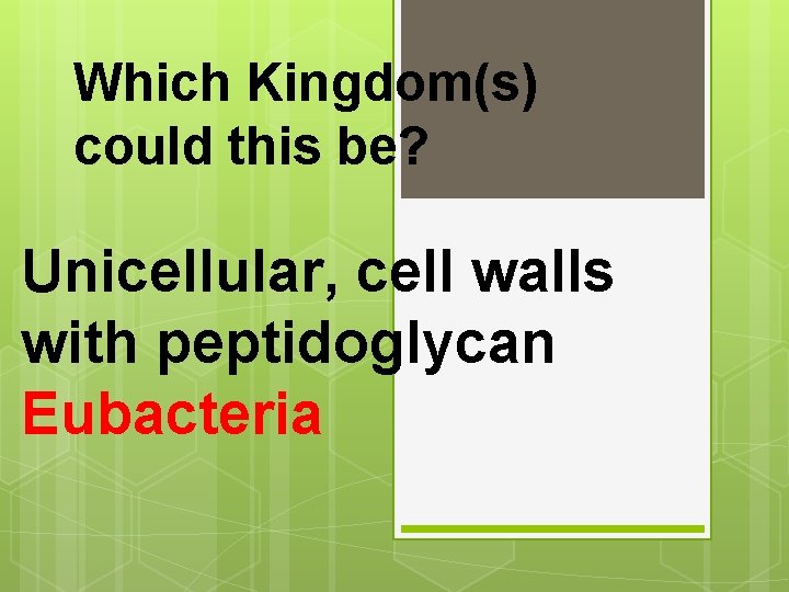 Which Kingdom(s) could this be? Unicellular, cell walls with peptidoglycan Eubacteria 