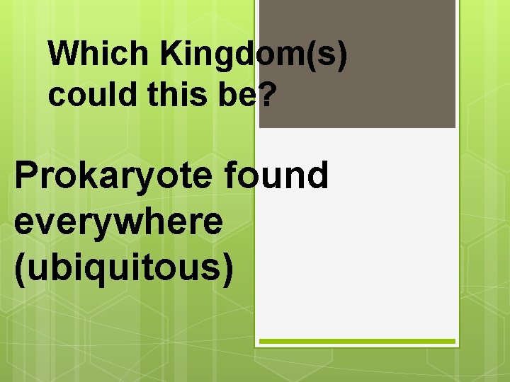 Which Kingdom(s) could this be? Prokaryote found everywhere (ubiquitous) 