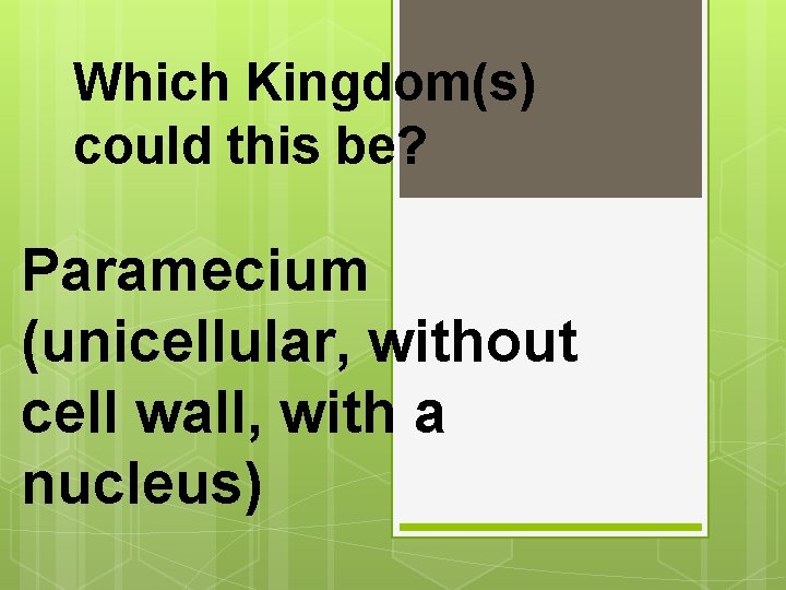 Which Kingdom(s) could this be? Paramecium (unicellular, without cell wall, with a nucleus) 