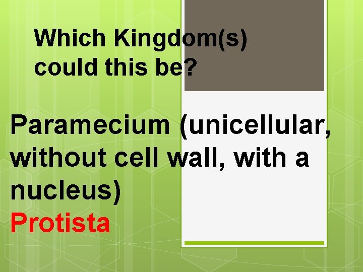 Which Kingdom(s) could this be? Paramecium (unicellular, without cell wall, with a nucleus) Protista