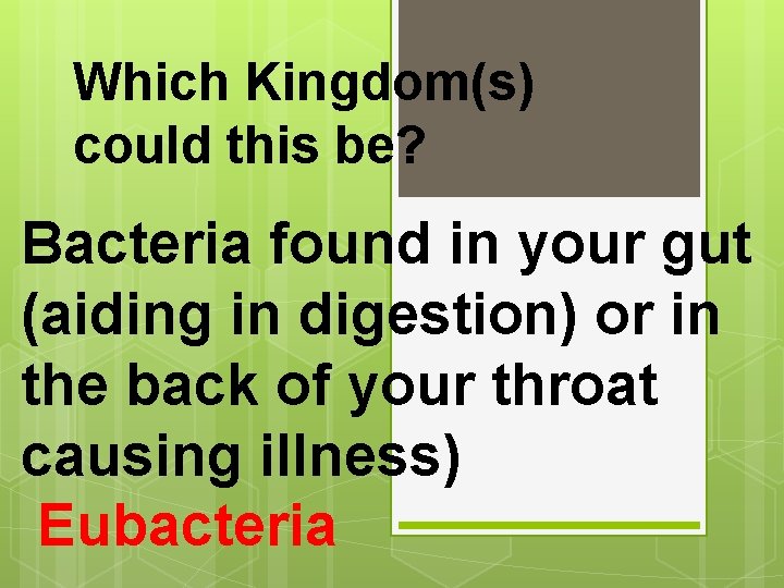 Which Kingdom(s) could this be? Bacteria found in your gut (aiding in digestion) or