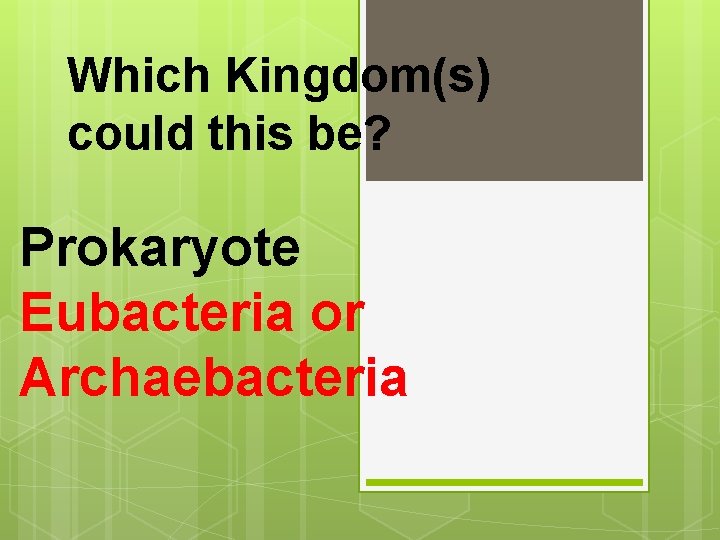 Which Kingdom(s) could this be? Prokaryote Eubacteria or Archaebacteria 