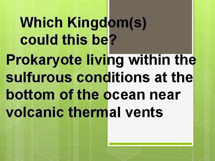 Which Kingdom(s) could this be? Prokaryote living within the sulfurous conditions at the bottom