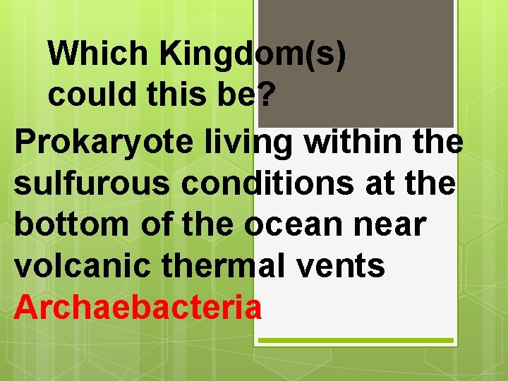 Which Kingdom(s) could this be? Prokaryote living within the sulfurous conditions at the bottom