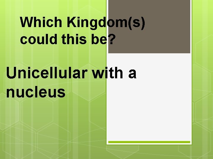 Which Kingdom(s) could this be? Unicellular with a nucleus 