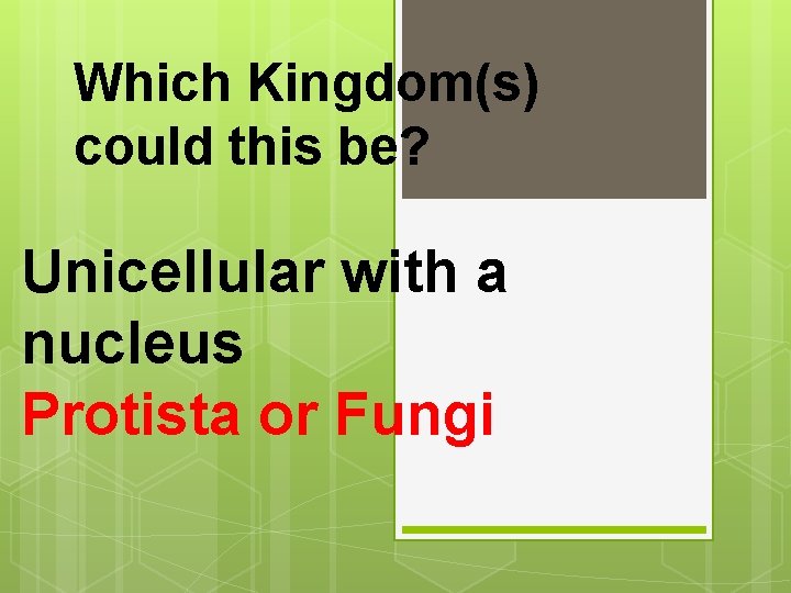 Which Kingdom(s) could this be? Unicellular with a nucleus Protista or Fungi 