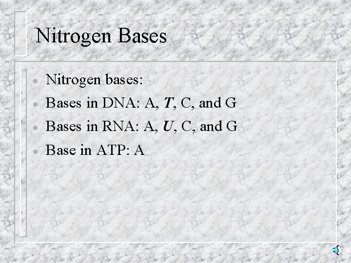 Nitrogen Bases · Nitrogen bases: · Bases in DNA: A, T, C, and G
