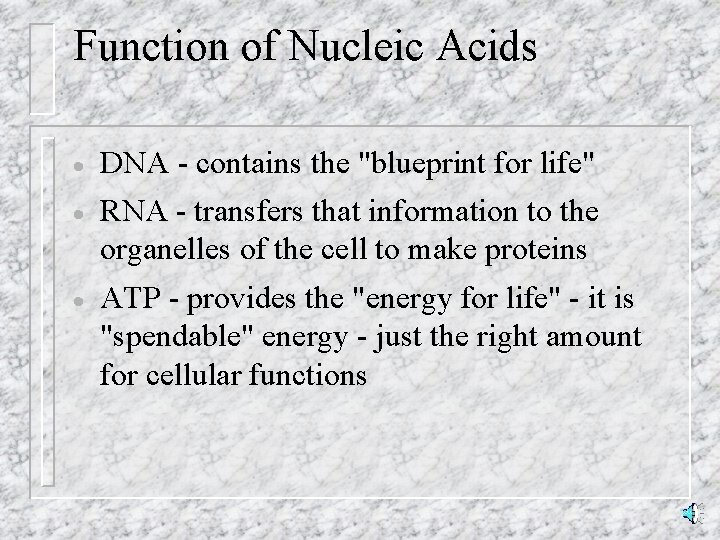Function of Nucleic Acids · DNA - contains the "blueprint for life" · RNA