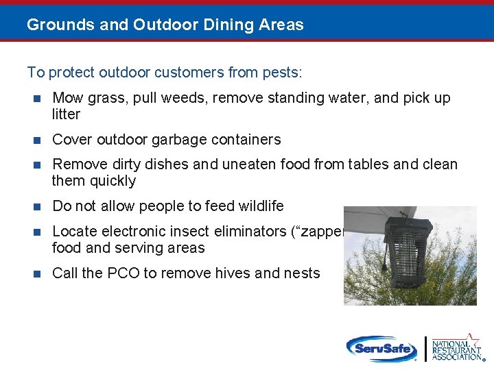 Grounds and Outdoor Dining Areas To protect outdoor customers from pests: n Mow grass,