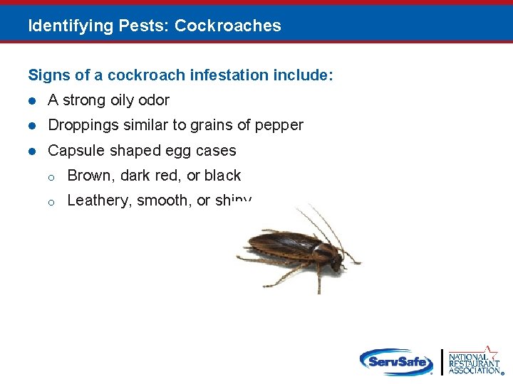 Identifying Pests: Cockroaches Signs of a cockroach infestation include: l A strong oily odor