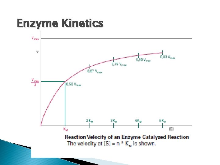 Enzyme Kinetics 