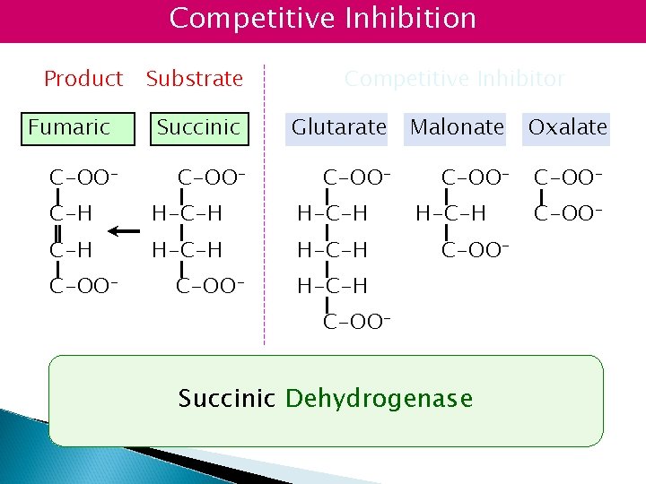 Competitive Inhibition Product Fumaric C-OO- Substrate Competitive Inhibitor Succinic Glutarate Malonate Oxalate C-OO- C-H