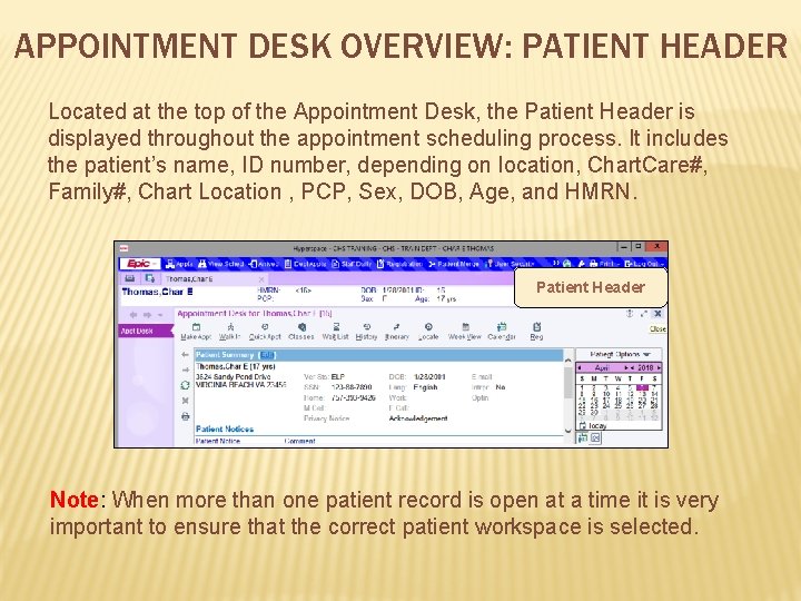 APPOINTMENT DESK OVERVIEW: PATIENT HEADER Located at the top of the Appointment Desk, the