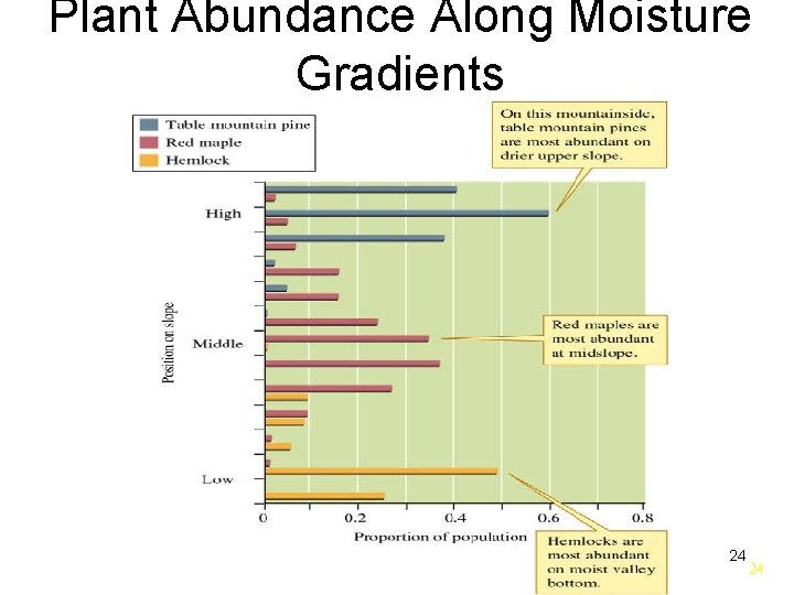 Plant Abundance Along Moisture Gradients 24 24 