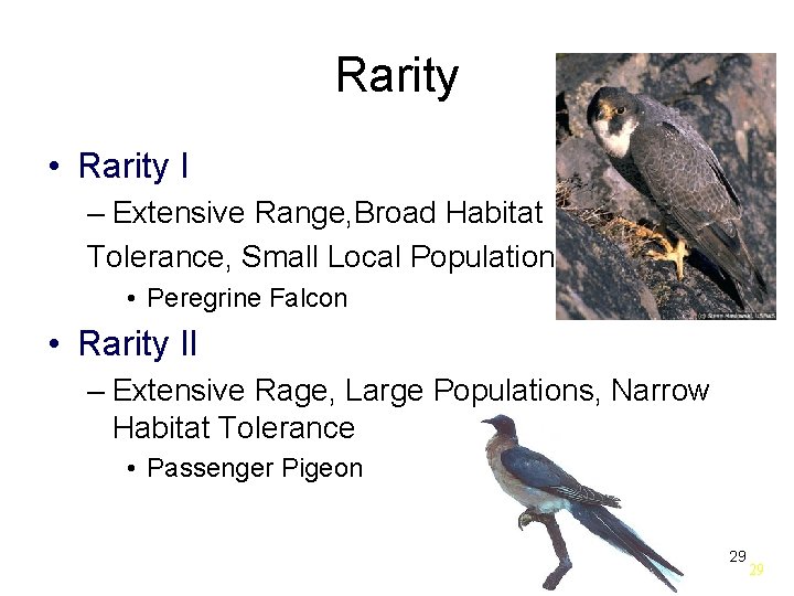 Rarity • Rarity I – Extensive Range, Broad Habitat Tolerance, Small Local Populations •