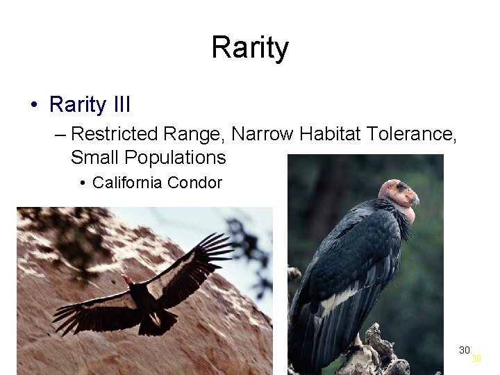 Rarity • Rarity III – Restricted Range, Narrow Habitat Tolerance, Small Populations • California