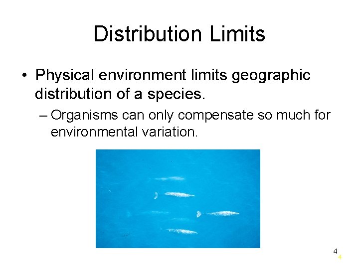 Distribution Limits • Physical environment limits geographic distribution of a species. – Organisms can