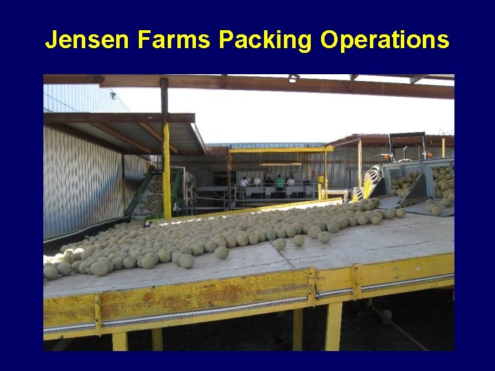 Jensen Farms Packing Operations 