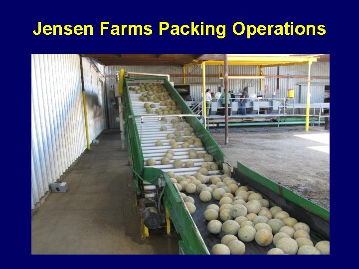 Jensen Farms Packing Operations 