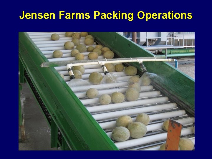 Jensen Farms Packing Operations 