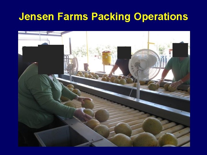 Jensen Farms Packing Operations 