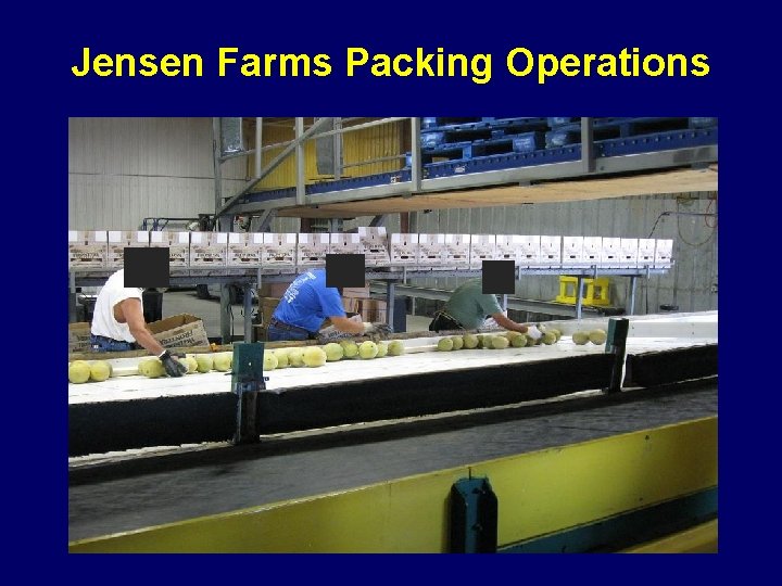 Jensen Farms Packing Operations 