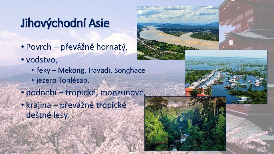 Jihovýchodní Asie • Povrch – převážně hornatý, • vodstvo, • řeky – Mekong, Iravadi,