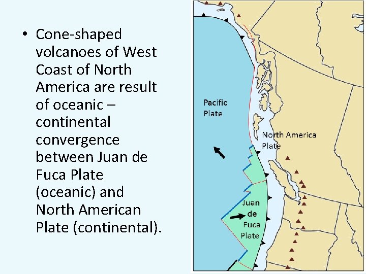  • Cone-shaped volcanoes of West Coast of North America are result of oceanic