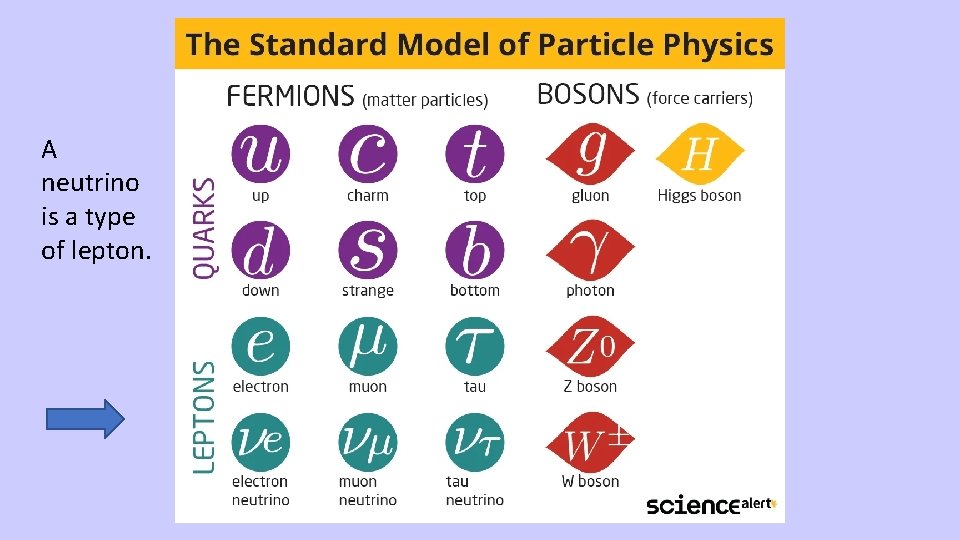 A neutrino is a type of lepton. 