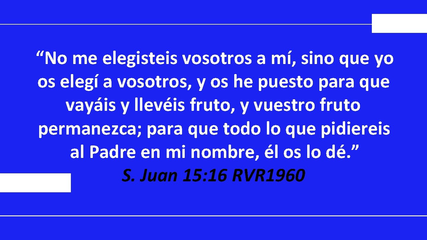 “No me elegisteis vosotros a mí, sino que yo os elegí a vosotros, y