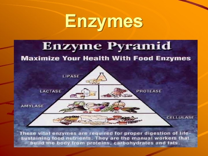 Enzymes Enzymes