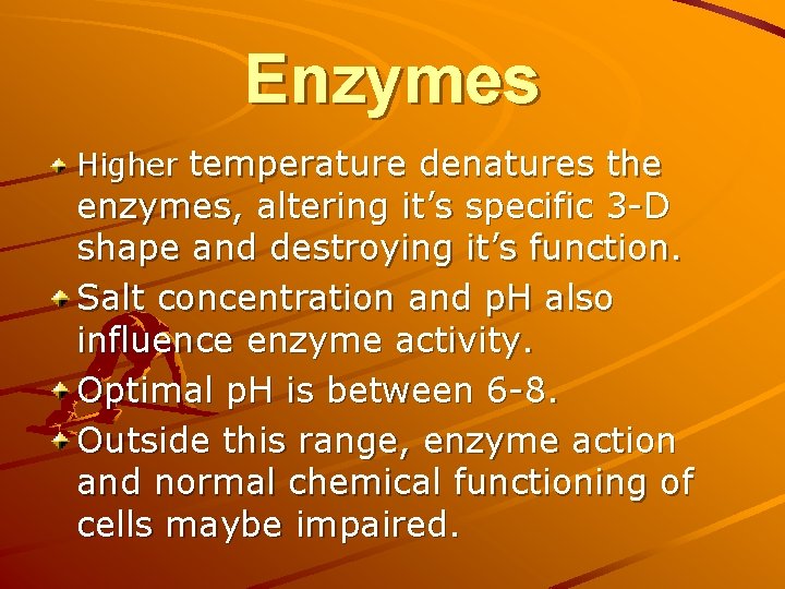 Enzymes Higher temperature denatures the enzymes, altering it’s specific 3 -D shape and destroying Enzymes Higher temperature denatures the enzymes, altering it’s specific 3 -D shape and destroying