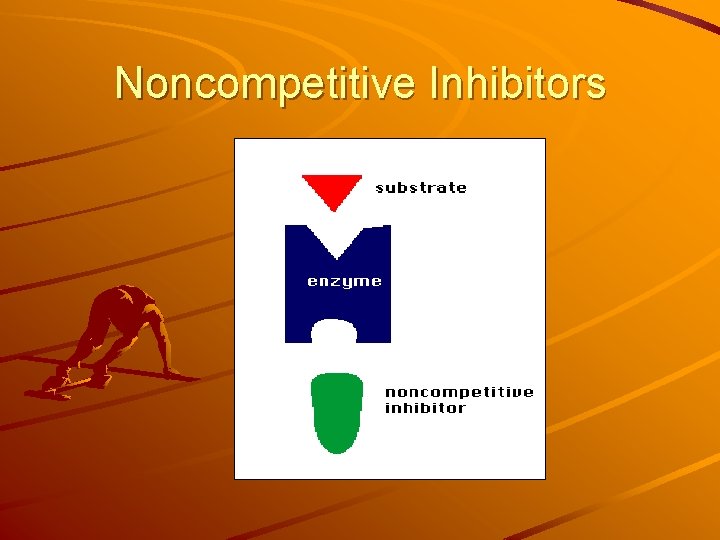 Noncompetitive Inhibitors Noncompetitive Inhibitors