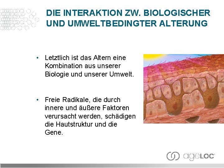 DIE INTERAKTION ZW. BIOLOGISCHER UND UMWELTBEDINGTER ALTERUNG • Letztlich ist das Altern eine Kombination