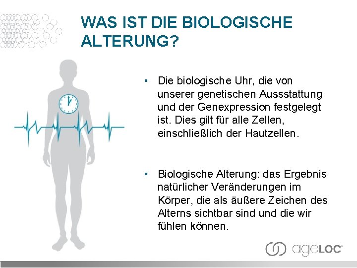 WAS IST DIE BIOLOGISCHE ALTERUNG? • Die biologische Uhr, die von unserer genetischen Aussstattung