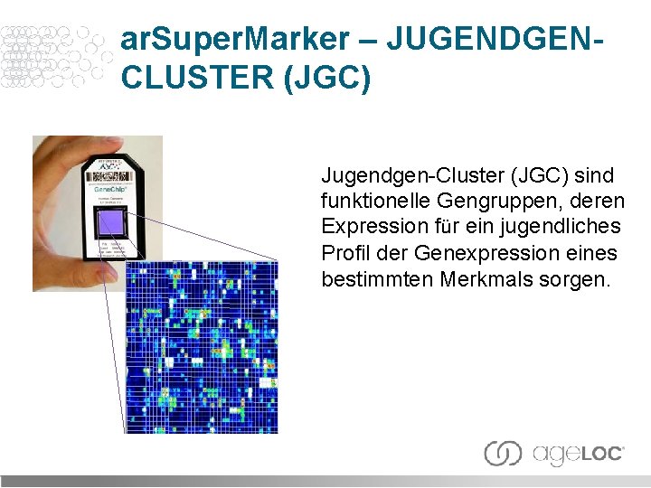 ar. Super. Marker – JUGENDGENCLUSTER (JGC) Jugendgen-Cluster (JGC) sind funktionelle Gengruppen, deren Expression für