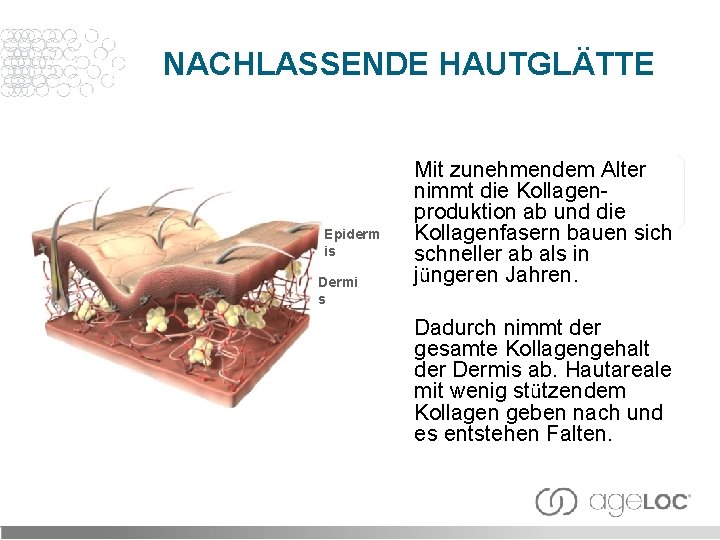 NACHLASSENDE HAUTGLÄTTE Epiderm is Dermi s Mit zunehmendem Alter nimmt die Kollagenproduktion ab und