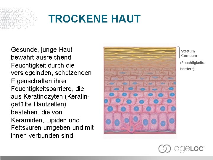 TROCKENE HAUT Gesunde, junge Haut bewahrt ausreichend Feuchtigkeit durch die versiegelnden, schützenden Eigenschaften ihrer